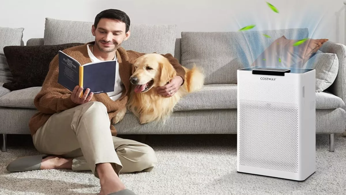 तमाचे पर तमाचा मार रही हैं ये Air Purifier बैक्टिरिया और Delhi NCR के Pollution को, लिस्ट में हैं कई तोपची ब्रांड
