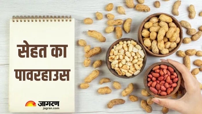 सर्दियों में शरीर को गर्म रखता है यह सस्ता ड्राई फ्रूट (Image Source: Freepik)