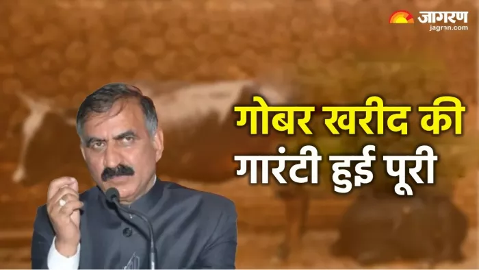 हिमाचल में किसानों से 3 रुपए प्रति किलो के हिसाब से गोबर खरीदेगी सरकार