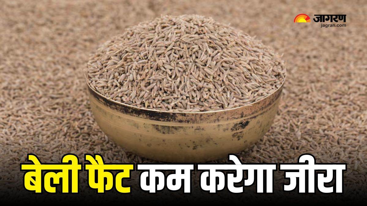 https://www.jagranimages.com/images/newimg/05112024/05_11_2024-jeera_for_weight_loss_23825920.jpg