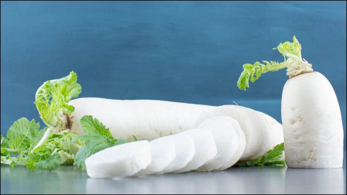 Radish Benefits डायबिटीज ही नहीं कई समस्याओं का रामबाण इलाज है मूली