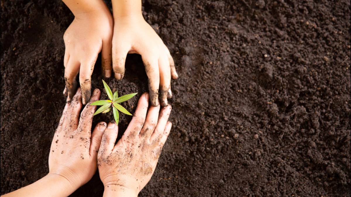 world soil day 2022 history significance importance and theme