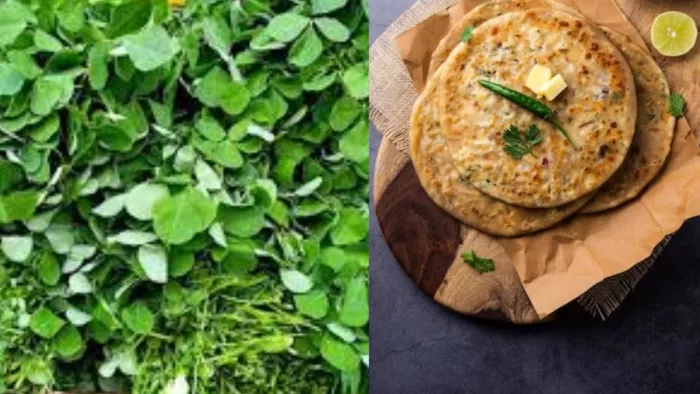 Methi Leaves: इन तरीकों से बनाएं मेथी को अपनी डाइट का हिस्सा
