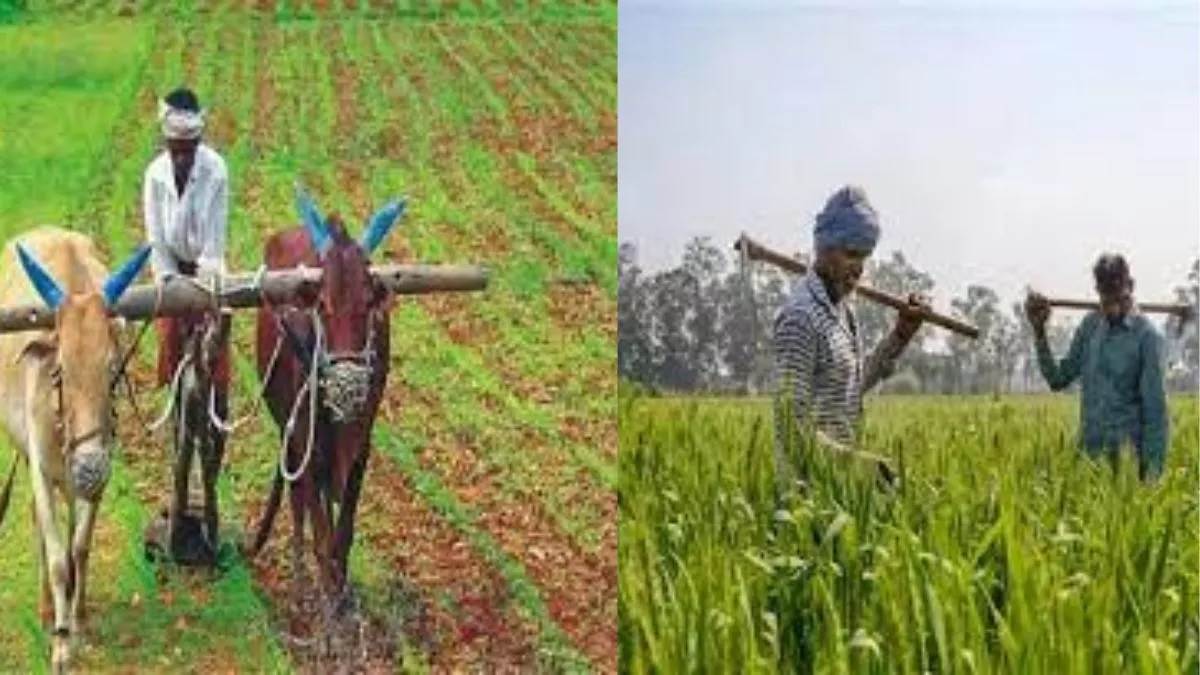 icar develops 691 new crop varieties to combat climate change and malnutrition