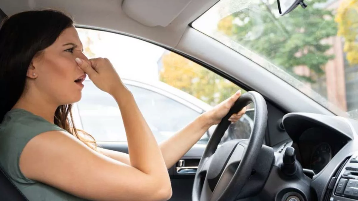 Smell Of Burning Rubber Come From The Car Cabin After Driving