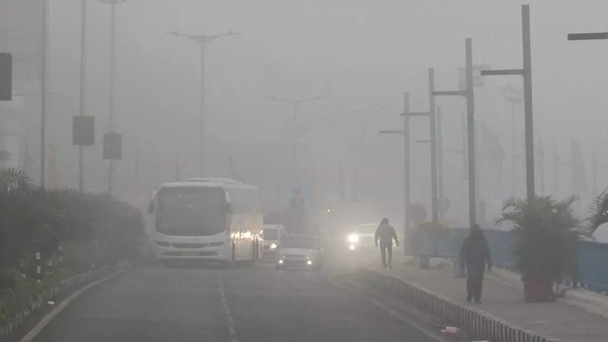 MP Weather: प्रदेश में ठंड बरपा रही है कहर, नौगांव में पारा पहुंचा शून्य डिग्री पर,पेड़-पौधों पर जमी बर्फ