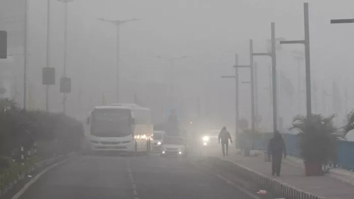 MP Weather: प्रदेश में ठंड बरपा रही है कहर, नौगांव में पारा पहुंचा शून्य डिग्री पर,पेड़-पौधों पर जमी बर्फ