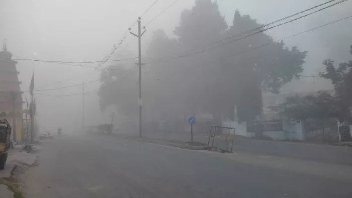 झारखंड में कोहरे और ठंड से जनजीवन प्रभावित