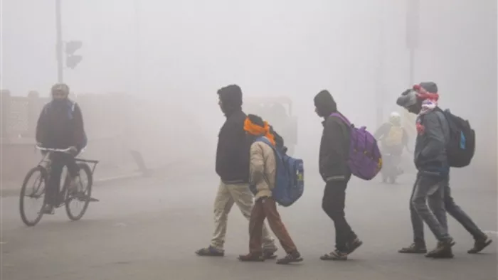 कड़ाके की ठंड का दिल-दिमाग, गुर्दे और फेफड़ों पर असर; डॉक्टरों ने बताया बरतें ये सावधानी