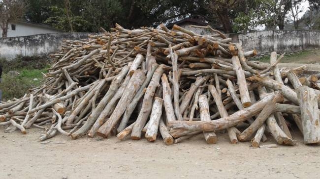 Raw wood for the crematorium