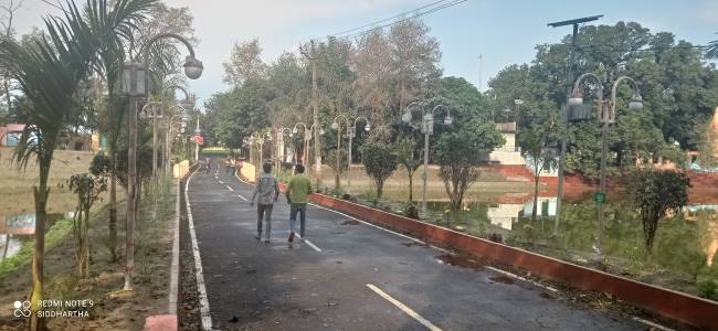 great greenery around the gomti river