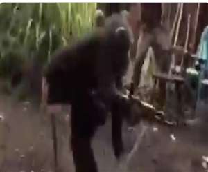 इस वीडियो में चिंपैंजी भावनाओं में बहकर मजाक कर देता है।