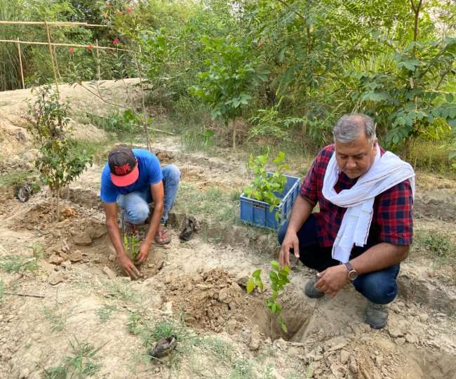 देश के 18 राज्यों में दो करोड़ से ज्यादा किया पौधारोपण, युवाओं के लिए प्रेरणास्रोत हैं पीपल बाबा - Meet peepal baba who Plantation of more than two crore saplings in 18