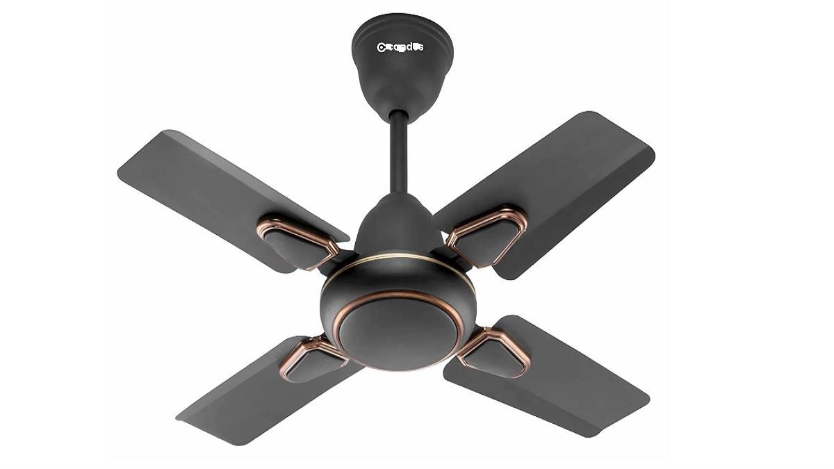 Best Ceiling Fans In India: जबरदस्त एयरथ्रो के साथ मामूली कीमत, अब होगी कूलर की जरूरत खतम