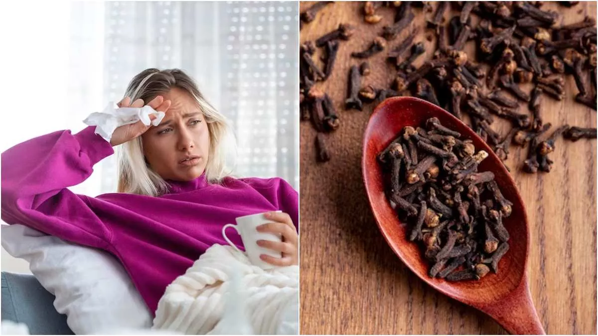 Cloves For Seasonal Flu मौसमी फ्लू से बचाने का काम करती है लौंग, जाने