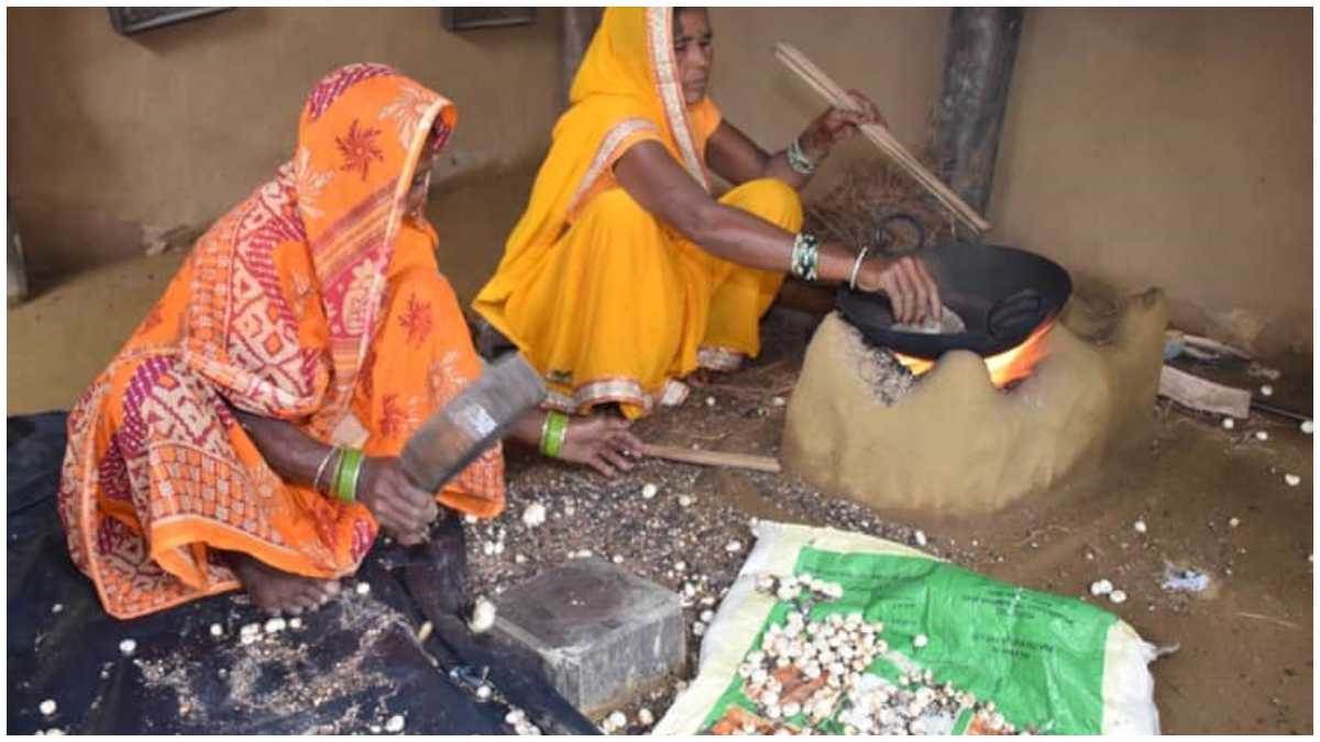 https://www.jagranimages.com/images/newimg/06022023/06_02_2023-makhana_foxnut_farmers_underpaid_23320806.jpg
