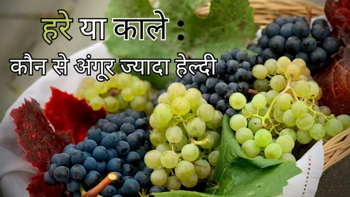 जानें सेहत के लिए कौन-से अंगूर है ज्यादा बेहतर