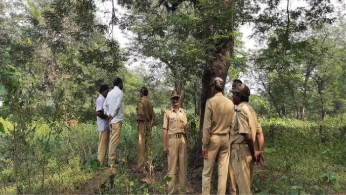 Hisar News: तेंदुआ ढूंढने के लिए तीन जिलों की वन्य विभाग की टीमों ने कुलेरी गांव में डाला डेरा।फाइल फोटो