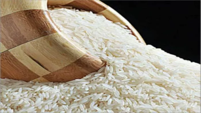 आज सरकार लॉन्च करेगी Bharat Rice (जागरण फोटो)