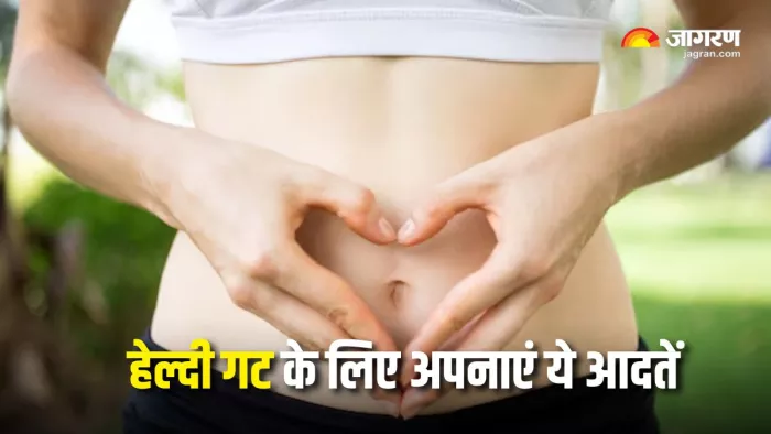 हेल्दी रहने के लिए गट हेल्थ का ध्यान रखना है जरूरी (Picture Courtesy: Freepik)