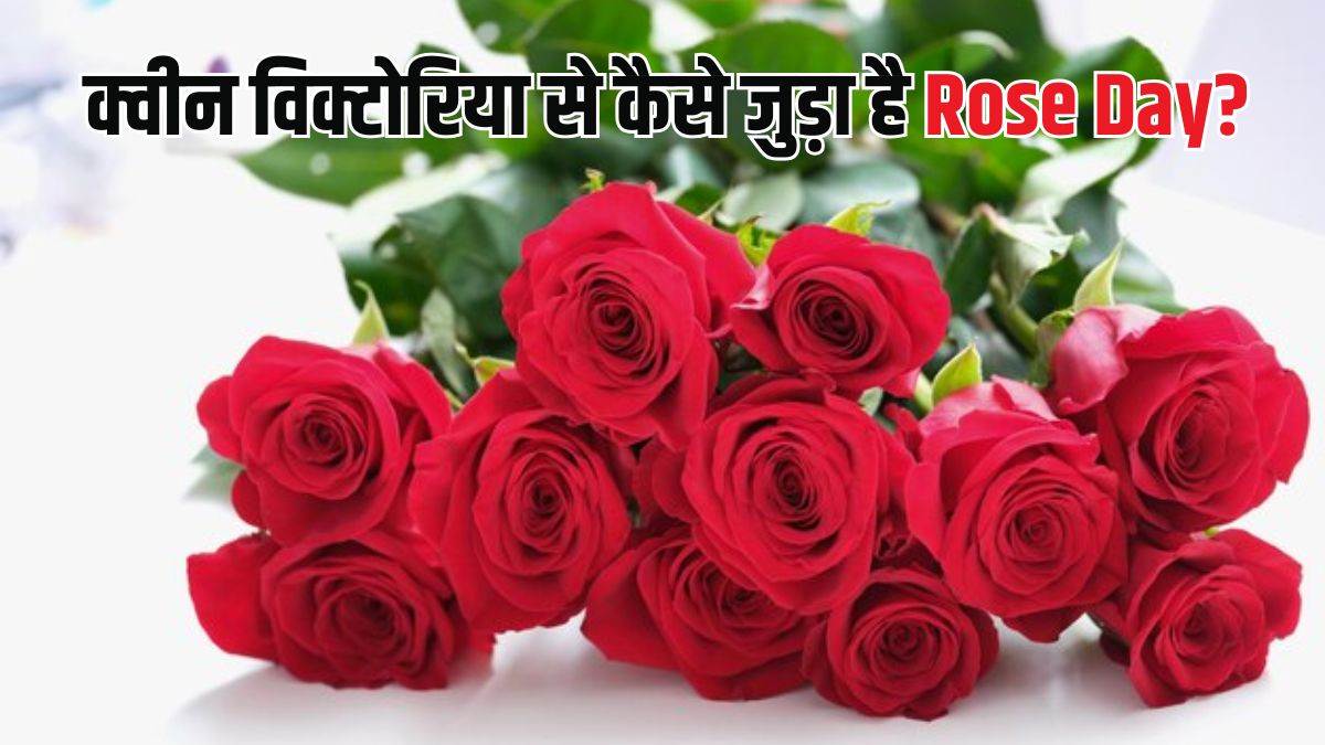 valentines day 2025 why roses begin valentines week know connection between queen victoria and rose day