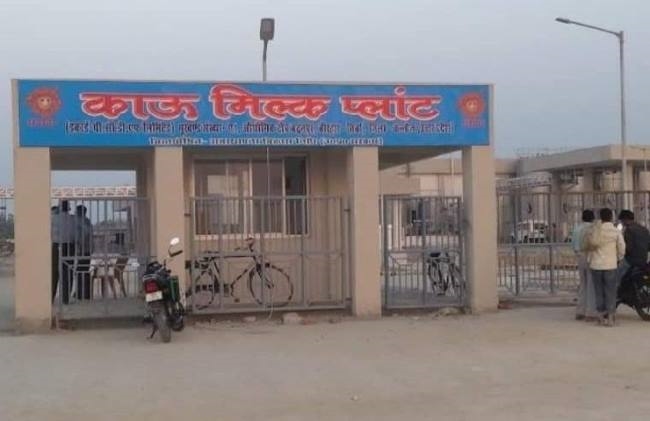 cow milk plant started again only packing of milk