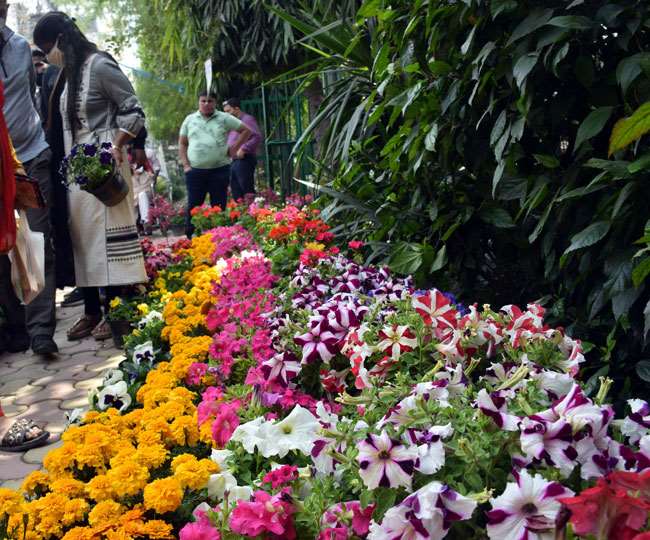कड़कड़डूमा के पास पुष्पांजलि कालोनी में इंद्रप्रस्थ हार्टिकल्चर सोसायटी द्वारा 24वें फ्लावर शो का आयोजन