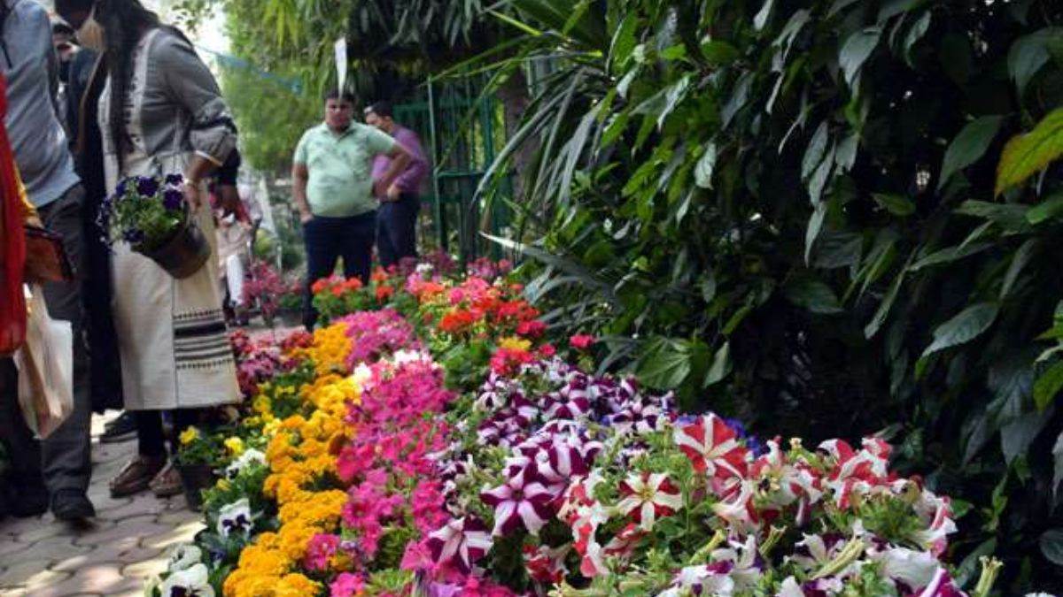 Flower Festival दिल्ली के सेंट्रल पार्क के फ्लावर फेस्टिवल में दिखेगी