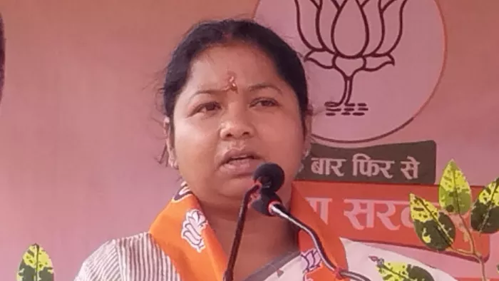 'एक कमल सिंहभूम से भेजूंगी...', BJP प्रत्याशी गीता कोड़ा का बड़ा बयान; कांग्रेस-JMM को आड़े हाथ लिया