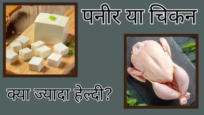 पनीर या चिकन, जानें कौन सेहत के लिए फायदेमंद