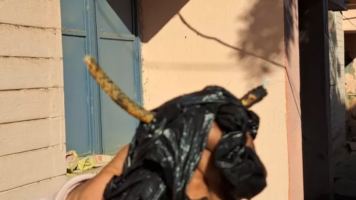 दो मासूम ने सांप को आग में पकाकर खाया (जागरण)