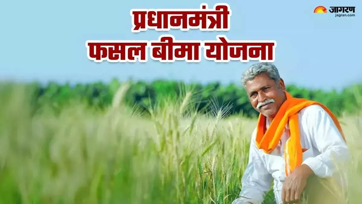 Jharkhand News: 25 हजार से ज्यादा किसानों को सरकार का तोहफा! PM फसल बीमा योजना के तहत मिलेंगे 172 करोड़ रुपये