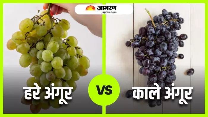 Green Grapes vs Black Grapes: जानिए आपके लिए कौन-सा विकल्प है ज्यादा बेहतर (Image Source: Freepik)
