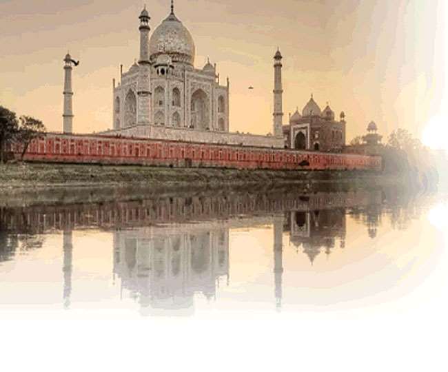 यह दाग यमुना की गंदगी में पनपा कीड़ा गोल्डी काइरोनोमस का था।