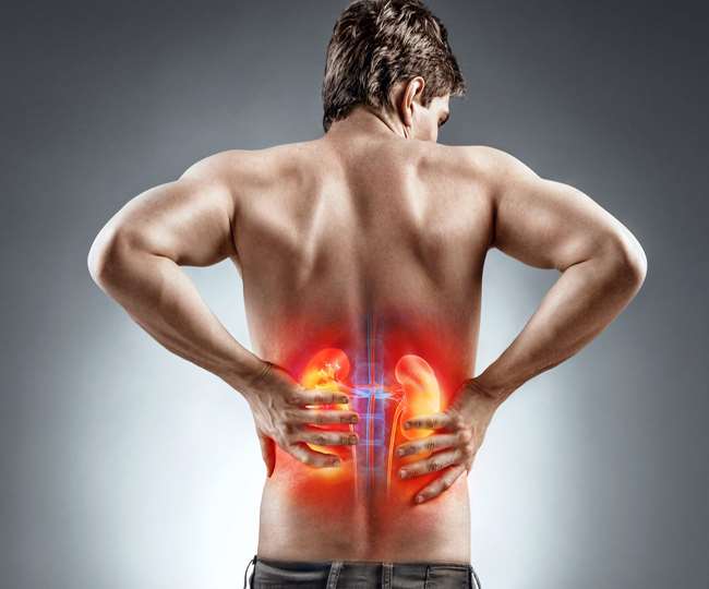 Health Tips : किडनी खराब होने के ये हैं 10 लक्षण, संकेत मिले तो शुरू करा लें इलाज