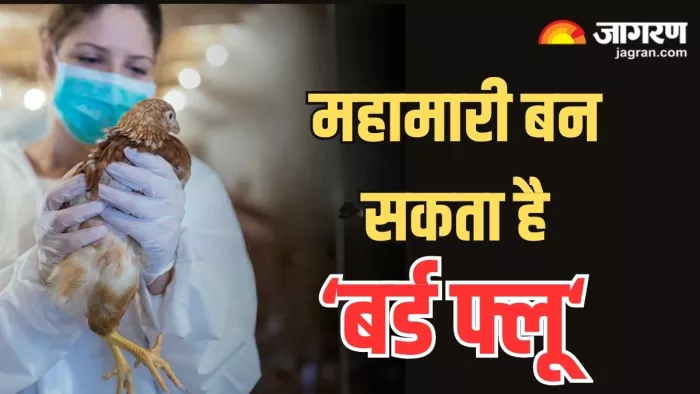 नई महामारी बन सकता है बर्ड फ्लू