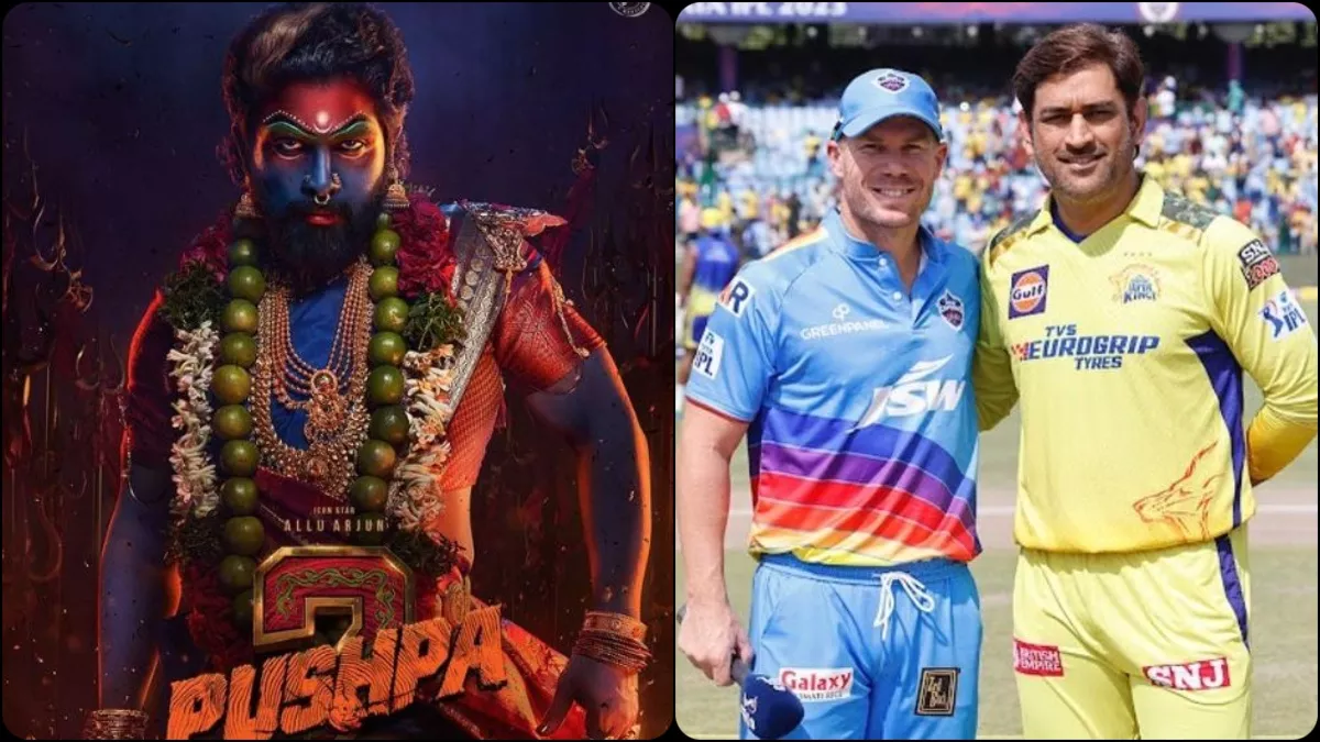 david warner cameo pushpa2