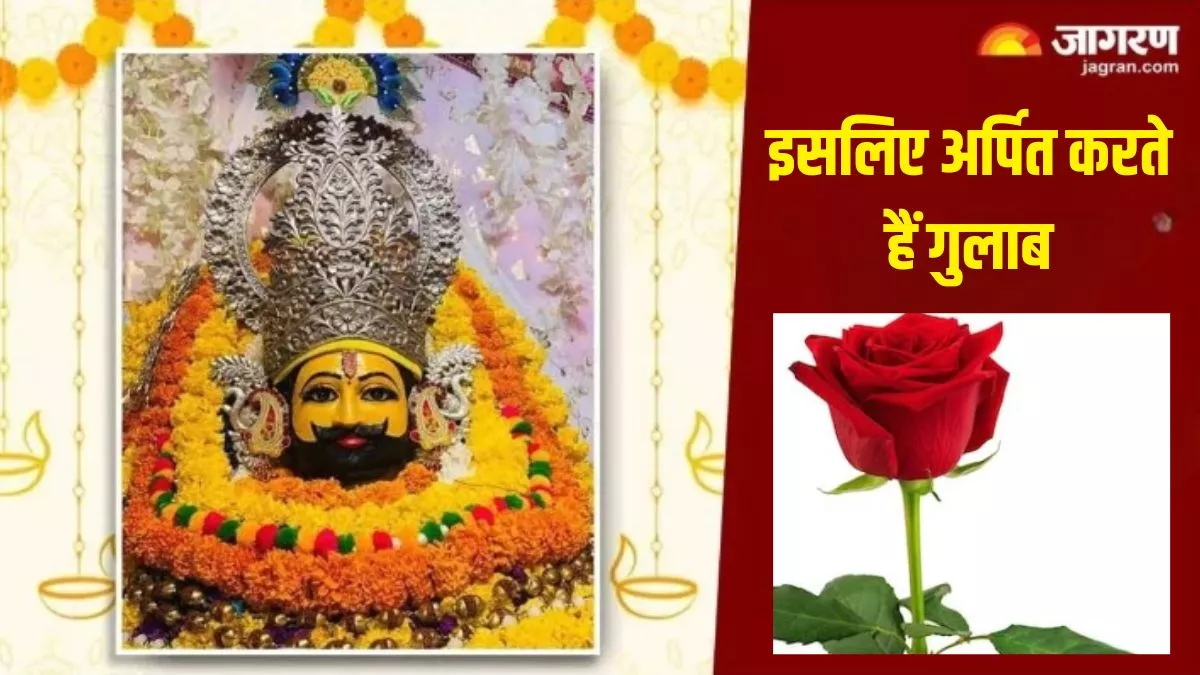 Khatu Shyam Mandir: बाबा खाटू श्याम को आखिर क्यों अर्पित करते हैं गुलाब? जानें इससे जुड़ी मान्यता