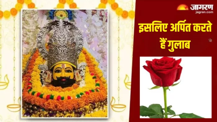 Khatu Shyam Mandir: बाबा खाटू श्याम को आखिर क्यों अर्पित करते हैं गुलाब? जानें इससे जुड़ी मान्यता