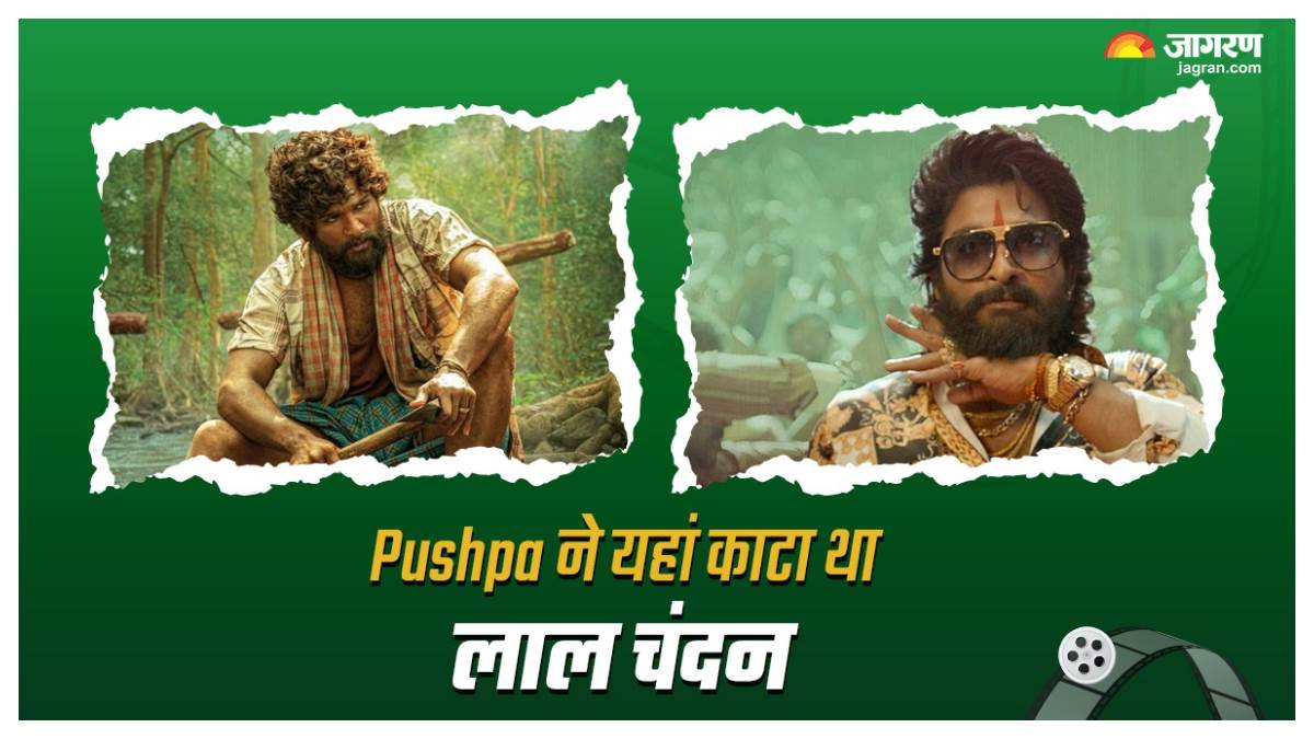 News Article Hero Image