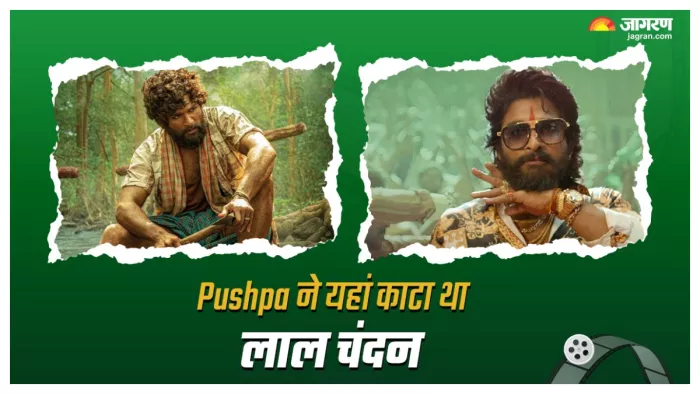 'पुष्पा: द राइज' फिल्म से रश्मिका मंदाना और अल्लू अर्जुन. फोटो क्रेडिट- जागरण