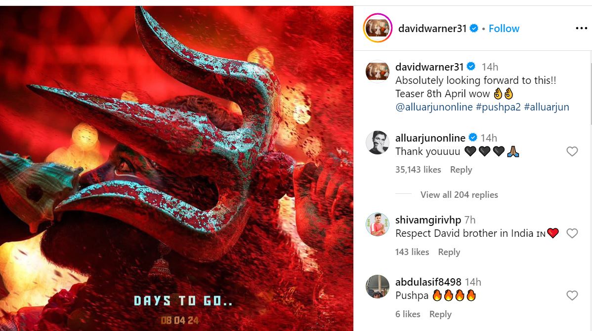 David Warner On Pushpa