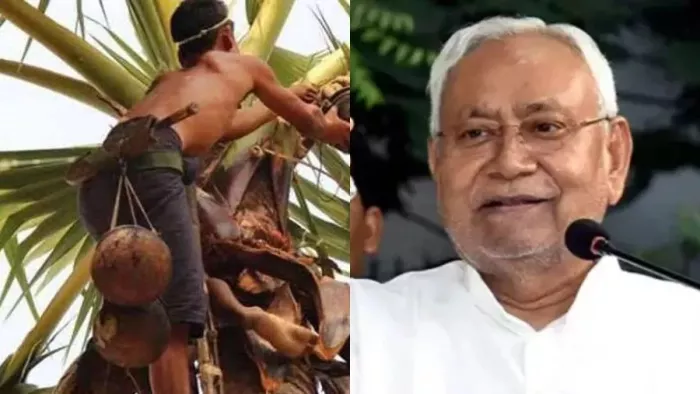 नीरा संवर्धन योजना के तहत होगा ताड़ के पेड़ों का सर्वेक्षण