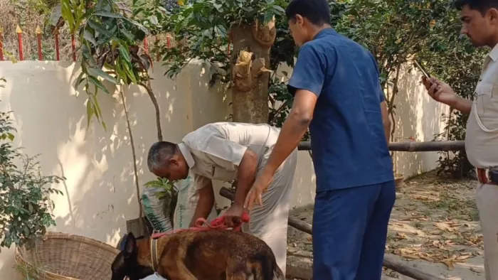 घटनास्थल पर जांच में जुटी टीम। (जागरण)