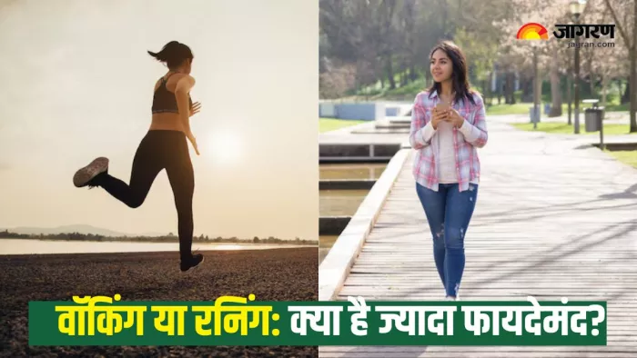 Weight Loss के लिए क्या है ज्यादा बेहतर? (Picture Courtesy: Freepik)