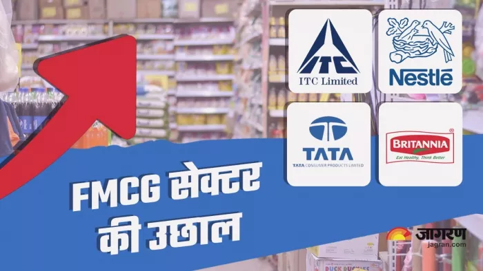 Nifty FMCG Index return in last one Year
