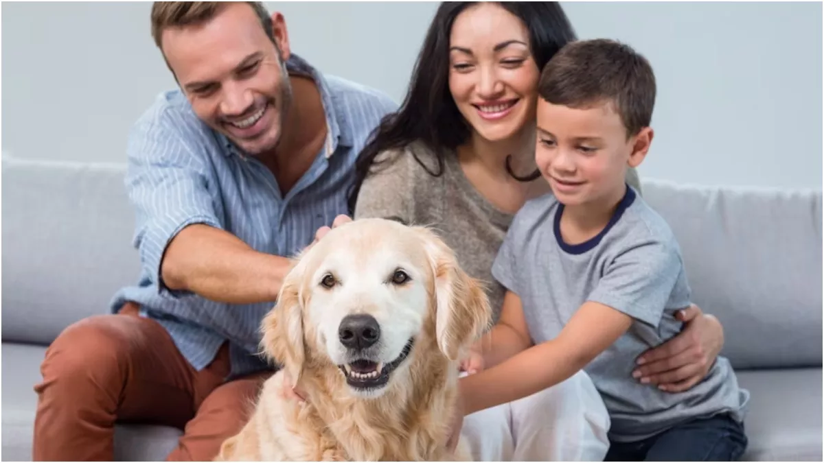 Pet Travel Guidelines अब पेट्स के साथ सफर होगा आसान! पालतु पशुओं के