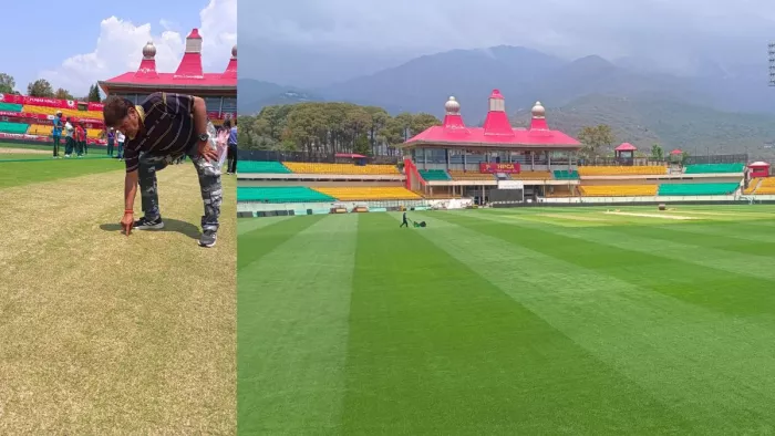 India first hybrid pitch Dharamshala stadium. फोटो- जागरण
