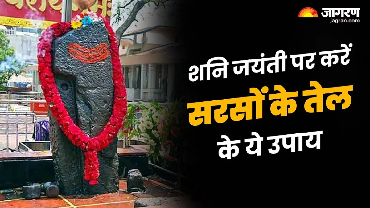 Shani Jayanti 2024: शनि जयंती पर जरूर करें सरसों के तेल के ये उपाय, सभी बाधाओं का होगा अंत