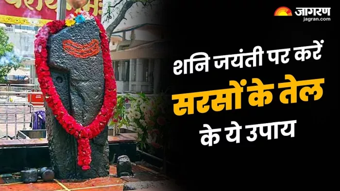 Shani Jayanti 2024: शनि जयंती पर करें सरसों के तेल के ये उपाय